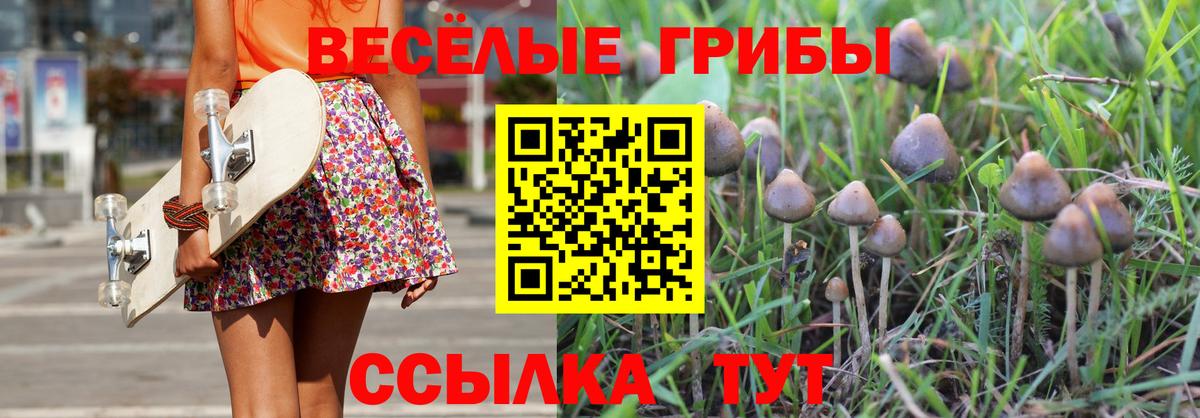 Казань  Галлюциногенные грибы мицелий  Вход с VPN 
